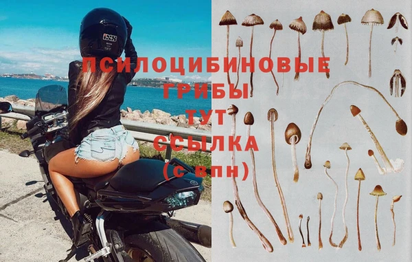 шишки Богданович