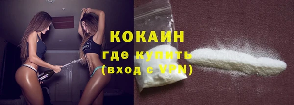 шишки Богданович