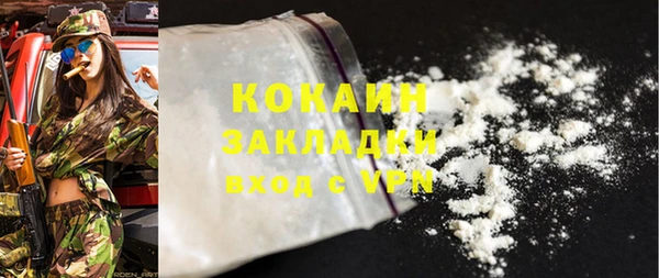 шишки Богданович