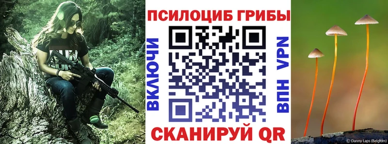 Галлюциногенные грибы мицелий Богданович